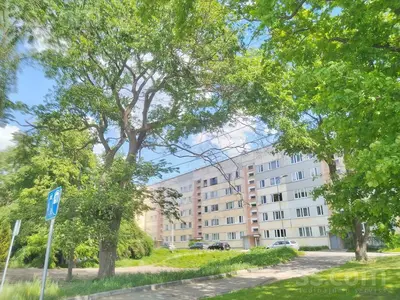 Lielā 59