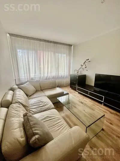 Birzes 40