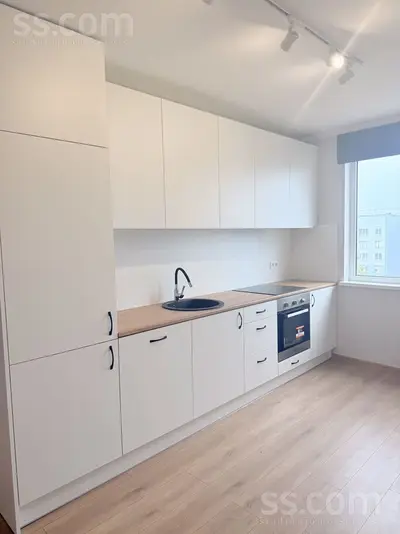 Eizenšteina 79