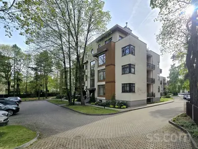 Zalves 35