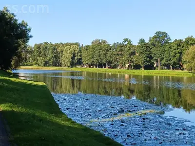 Gardenes 7