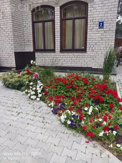 Šalkones 2