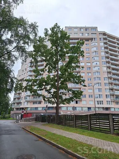 Duntes 28