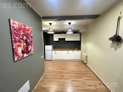 Ropažu 41