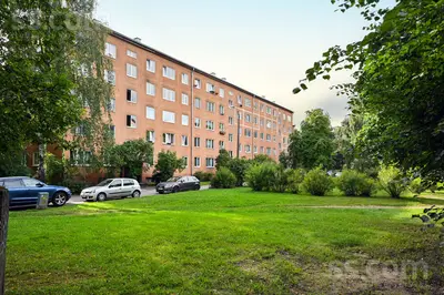 Melnsila 20