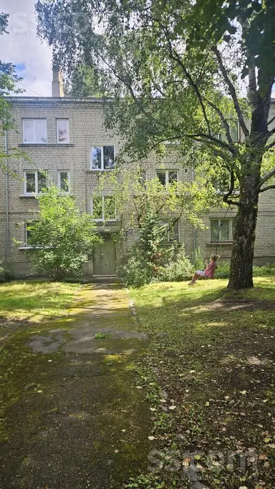 Putnu 20