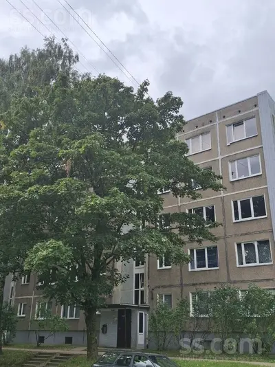 Baltā 24