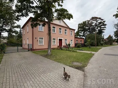 Spirgus 4