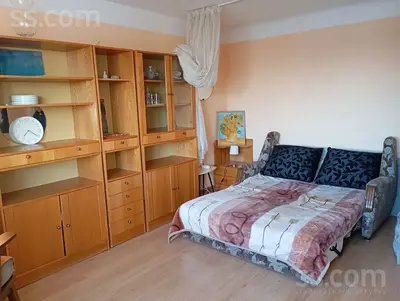 Dzegužu 17