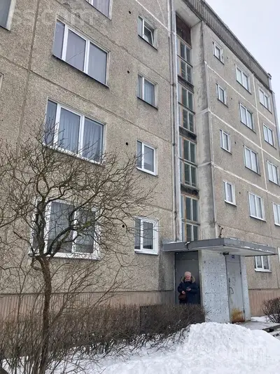 Dzelzavas 80